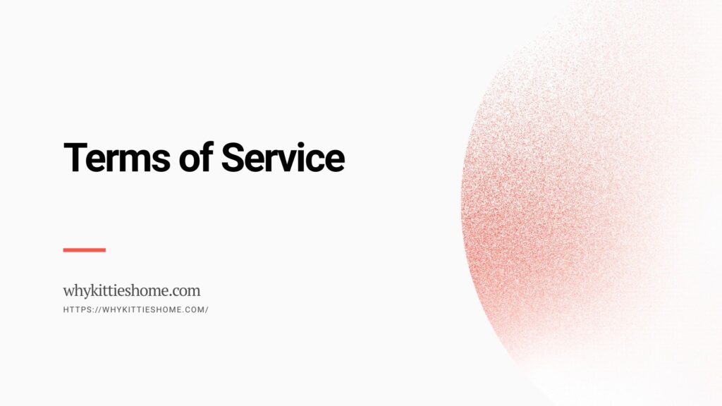 Terms of Service