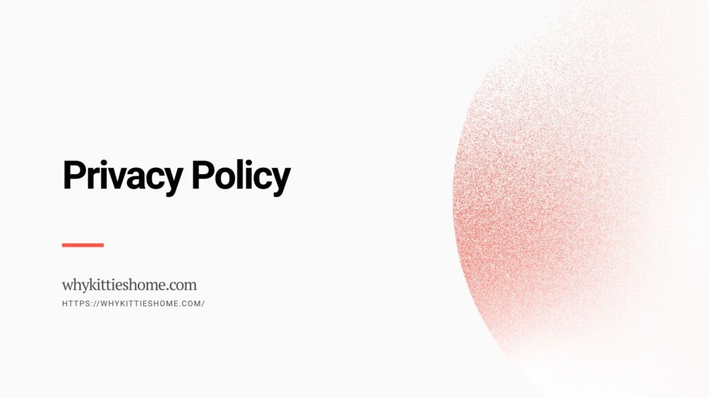 privacy policy