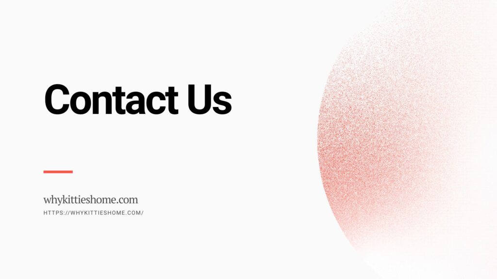 Contact us